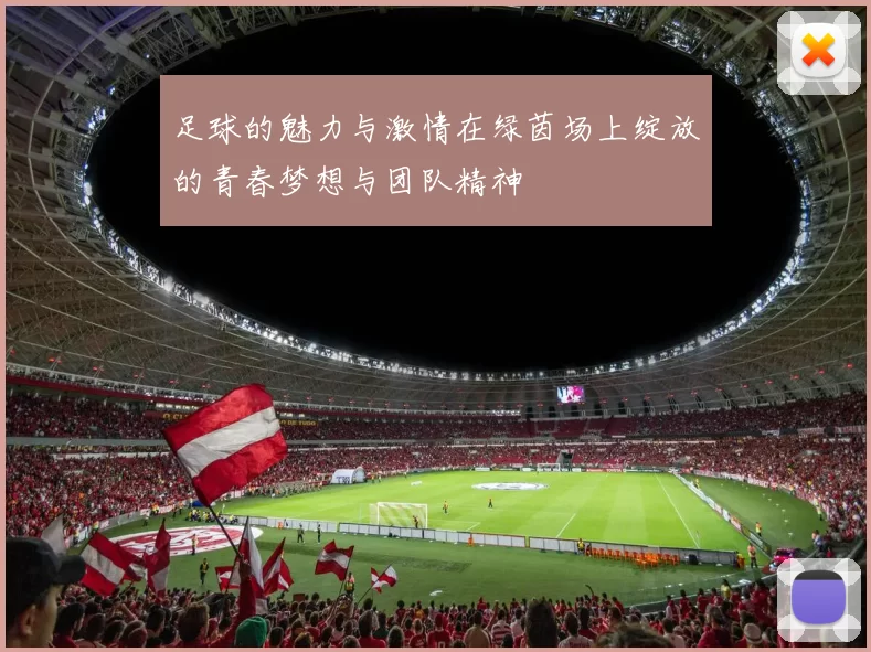 足球的魅力与激情在绿茵场上绽放的青春梦想与团队精神