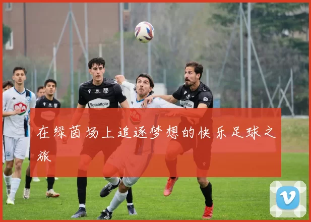 在绿茵场上追逐梦想的快乐足球之旅