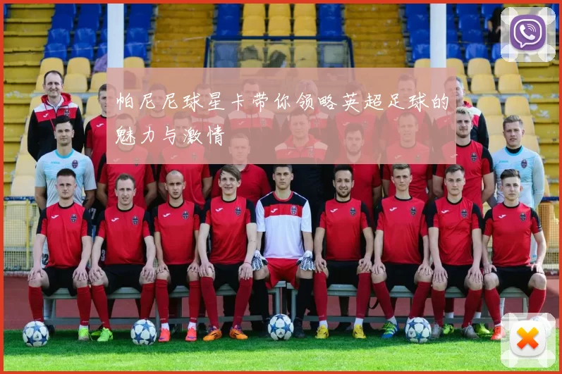 帕尼尼球星卡带你领略英超足球的魅力与激情